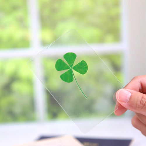 Four Leaf Clover Card (ONHAND)