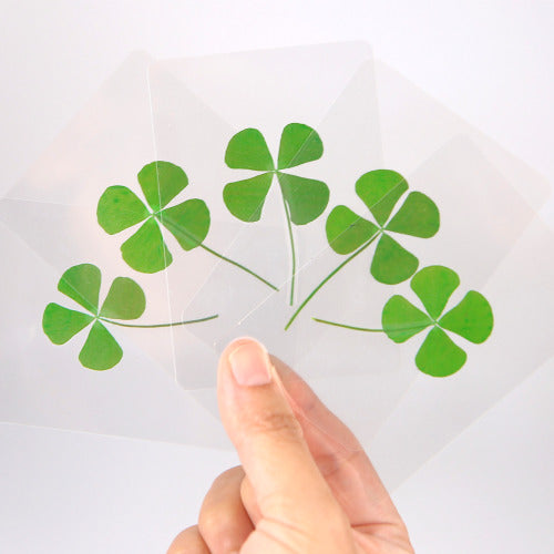 Four Leaf Clover Card (ONHAND)